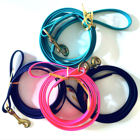 Biothane Leash