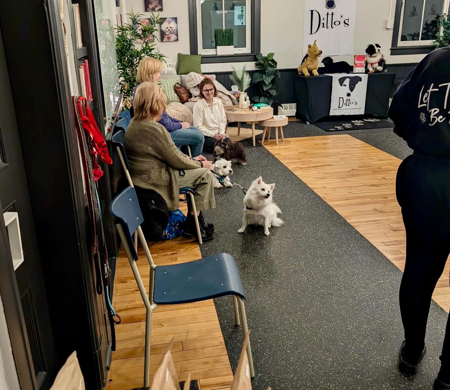 Small Dog Social Class-"Half Pint-Happy Hour!"