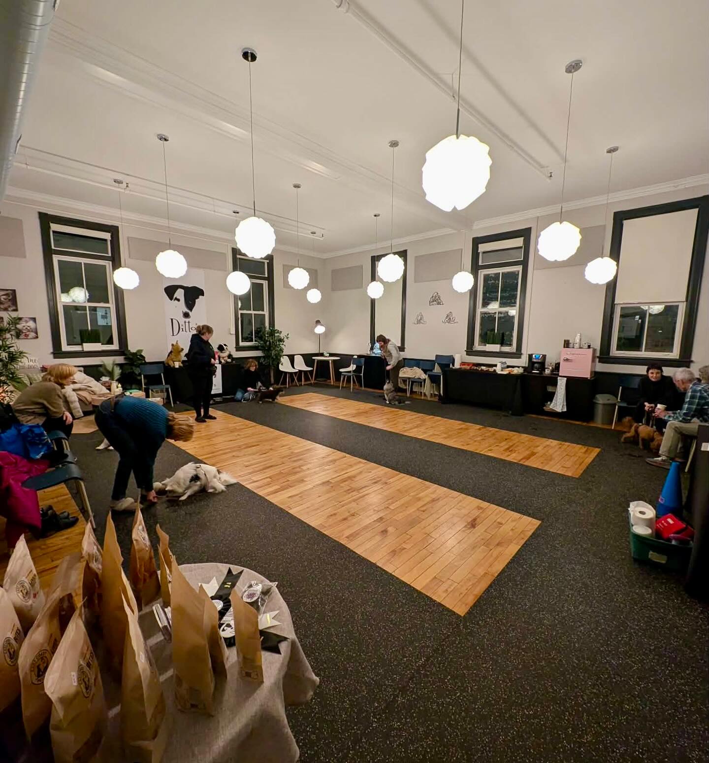 Small Dog Social Class-"Half Pint-Happy Hour!"