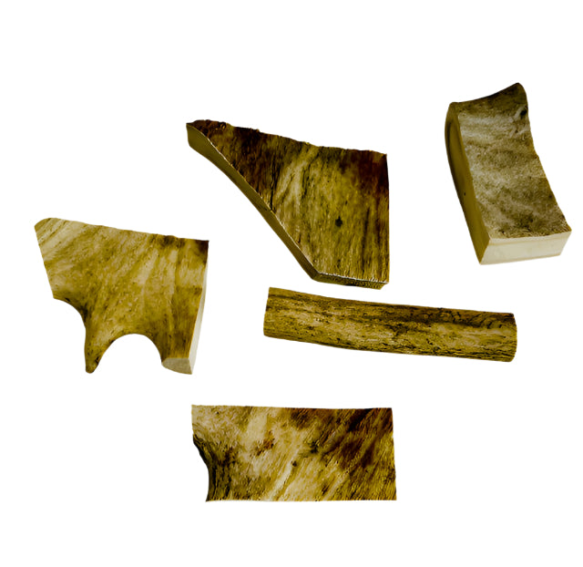 Deer Antler Chew
